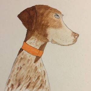 Meet your Posher, Kate